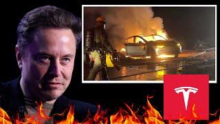 Elon Musk Tesla Robotaxi Hollywood Scam