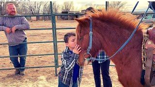 NEGLECTED PONIES JOURNEY to new HOME