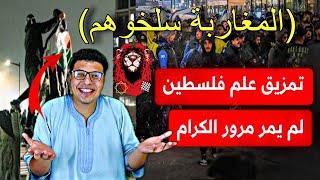 مشاهد صادمه  | حقيقة مافعله أسود المغرب  فى هولندا مع جماهير مكابى تل ابيب