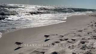 Search The Gulf. Gulf Coast Homes for Sale. Sotheby's International Realty