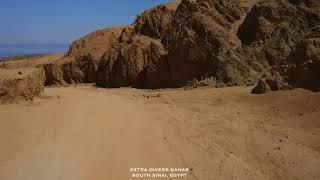 Exploring Life Underwater with Extra Divers Dahab, South Sinai Egypt.