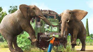 We tried to move the locomotive from the zoo!