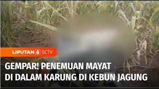 Warga Lampung Heboh, Temukan Mayat Wanita di Dalam Karung Bersama Motor di Kebun Jagung | Liputan 6