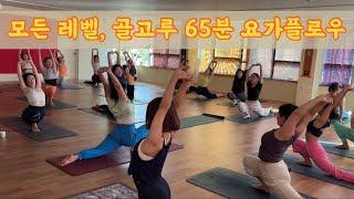 [서리요가#567] 안팎으로 골고루 열어내는 65분 풀시퀀스 요가 / 하타요가, 전신요가