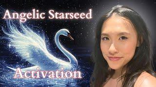 Cygnus Stargate Activation for ANGELIC STARSEEDS