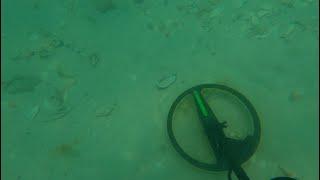 My most unbelievable ring return yet!!! Underwater metal detecting with the Blu3 Nemo