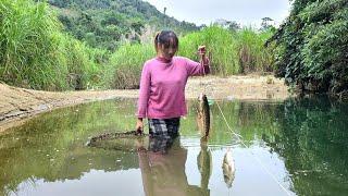 Fishing skills, trapping fish with shrimp bait - Daily life Thuy