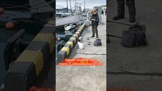 Морской порт Сочи - обязательно сходите посмотреть на архитектуру, яхты и местных котов #Сочи #отдых