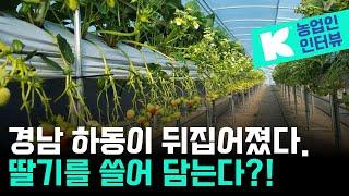 2025년 1월 경남 하동이 뒤집어졌다. 딸기를 쓸어담는 농가를 가다. 클라스만 데일만 _ 클라스만 프렉션 피트