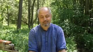 Преимущество жизни в живом лесу - Дмитрий Чернышов