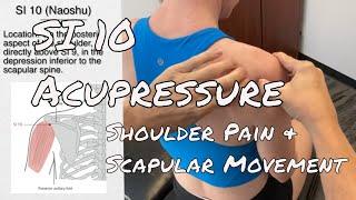 SI 10  Acupressure: Shoulder Pain & Scapular Movement