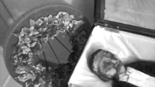 Emmett Till Event Art Project (Apologies If I Confused Anyone)