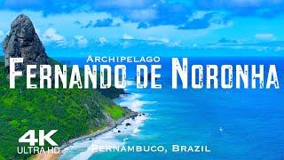 FERNANDO DE NORONHA  Drone Aerial 4K | Pernambuco Brazil Brasil