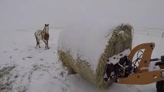 Do Hay Huts work?