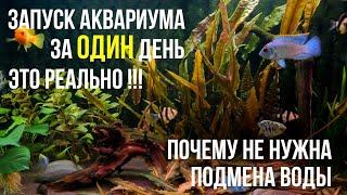 Как БЫСТРО ЗАПУСТИТЬ АКВАРИУМ, Без Вреда для Рыбок и Дополнительных Финансовых Трат