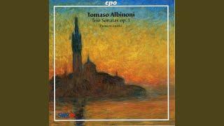 Sonata à 3 in A Minor, Op. 1 No. 6: II. Allegro