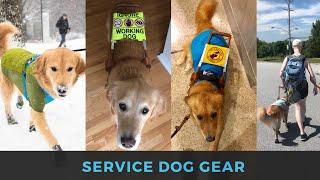 SERVICE DOG GEAR HAUL | Guide Dog Edition