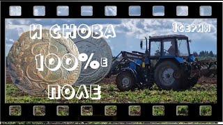 И снова 100%-е поле... Выпуск №26 серия 1