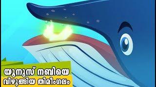 യൂനുസ് നബിയെ വിഴുങ്ങിയ തിമീംഗലം Quran Stories Malayalam | Prophet Stories | Use of education