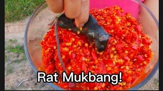 Ms Jin Su Eating Mouse! #mukbang #yummyfoods #eat #seafoods