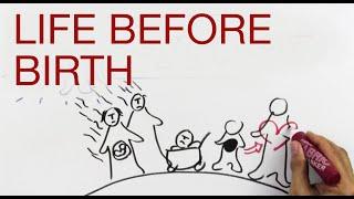 LIFE BEFORE BIRTH explained by Hans Wilhelm