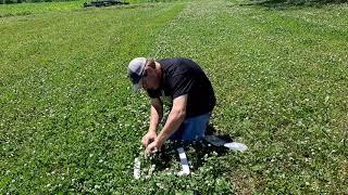 Measuring Forage Yield and Quality