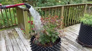 Air-pots watering demonstration