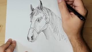 Come disegnare il volto di un Cavallo tutorial