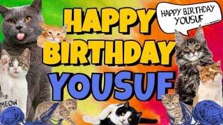 Happy Birthday Yousuf! Crazy Cats Say Happy Birthday Yousuf (Very Funny)