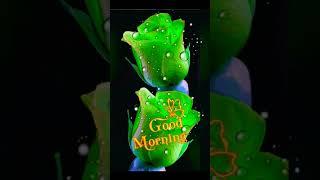 Good Morning Status Video WhatsApp Status Video Good Morning 17/11/2022