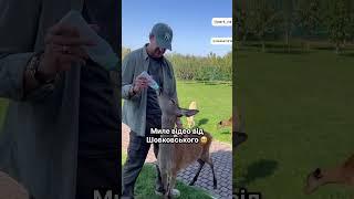Шовковський поділився милим відео  : marynakutepova  #спортукраїни #шовковський #україна