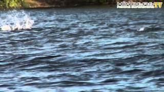 Carp crashing & Underwater footage - Linear & Linch Hill Fisheries