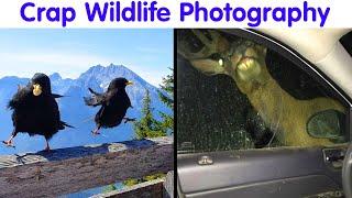 Crappy Wildlife Photos That Are So Bad They’re Good | Good Times #1