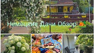 Vlog  Закупилась Обзор Немецких Дачи Какие они/Очень Маленькие