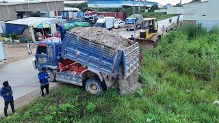 Wonderful activity.!! Dump Trucks 5T And D61EX KOMATSU Dozer filling Flooded land Next to the road.