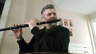 Coleman Tunes: The Divils of Dublin, on Thompson D Flute.