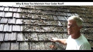 Cedar Roof Cleaning (Best Practices)  How (and Why) to maintain a Cedar Roof