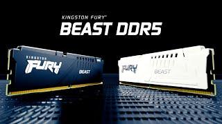 DDR5 RGB-Speicher mit Geschwindigkeiten von bis zu 6000MT/s – Kingston FURY Beast DDR5