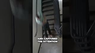 Inmates Thrilling Escape Goes Viral A Captivating Jailbreak Caught on Camera #court #courtdrama