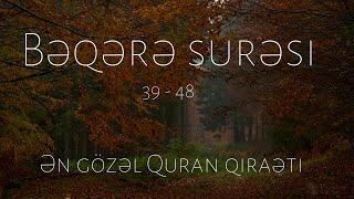 Ən gözəl Quran qiraəti | Bəqərə surəsi 39 - 48 Sami al Kurdy | سورة البقرة