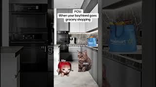 CAT MEMES When your boyfriend goes grocery shopping #catmemes #relatable #relationship