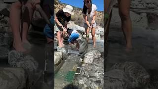 @chrisundertaking Gold prospecting family adventures #goldrush #goldprospecting #sluice