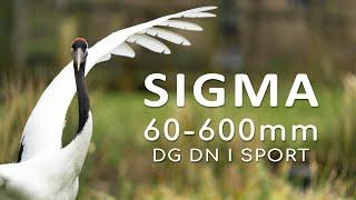 Lens Review | Sigma 60-600mm F4.5-6.3 DG DN OS I Sports - Sony FE-Mount