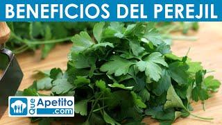 8 Propiedades y Beneficios del Perejil | QueApetito