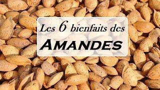 Les 6 bienfaits des amandes