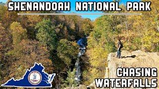 Chasing Waterfalls at Shenandoah National Park | Dark Hollow Falls, Whiteoak Falls & More (2024)