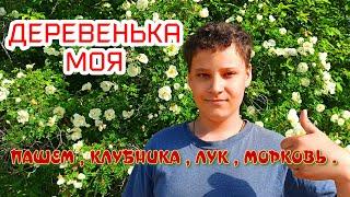 Моя деревня псковская глубинка/Про деревню.