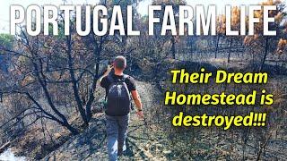 Their Dream Portugal Homestead Destroyed by Fire!!! | Full Property Tour & Recovery Journey