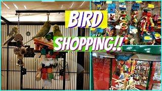 Shop With ME PETSMART PARAKEETS BIRD TOYS 2018