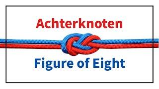 Achterknoten | Figure of eigth | How to knot